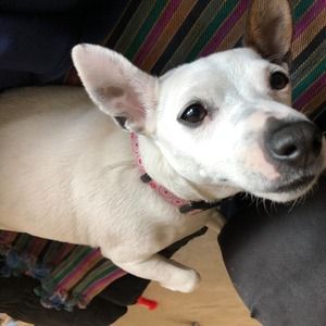 Meet your Posher, Tom